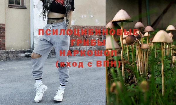 прущие грибы Аша