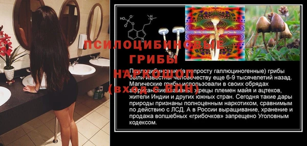 ешки Бабаево