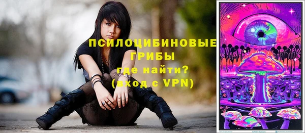 экстази Белая Холуница