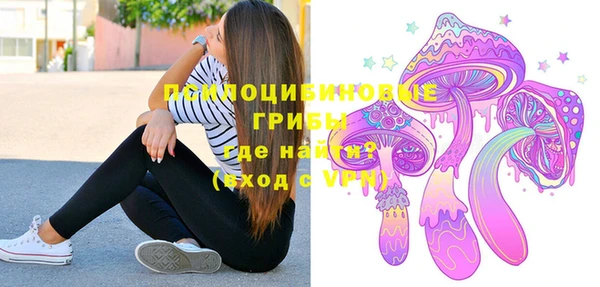 экстази Белая Холуница
