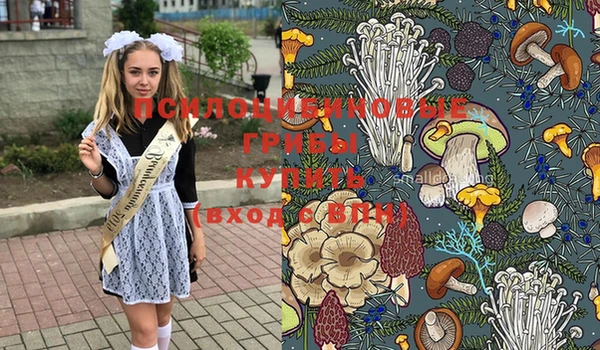 прущие грибы Аша
