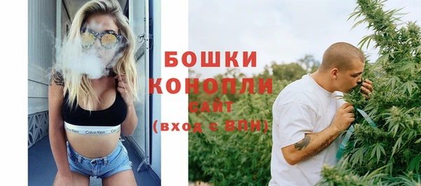 прущие грибы Аша