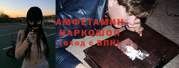 прущие грибы Аша