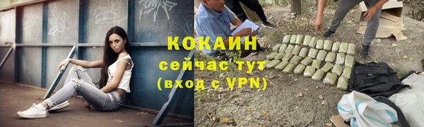 прущие грибы Аша