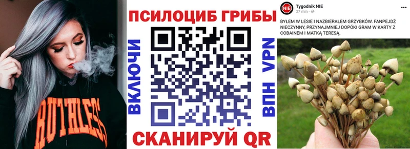 Галлюциногенные грибы MAGIC MUSHROOMS  где продают   Ивангород 